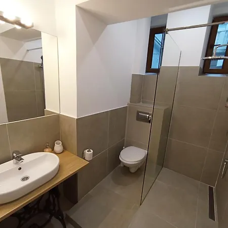 Art Apartment Timisoara