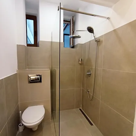 Art Apartment Timisoara
