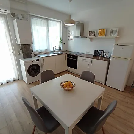 Art Penthouse 蒂米什瓦拉